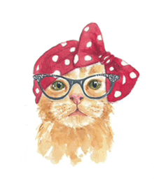 a cat wearing glasses and a polka dot headband