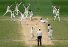 a cricket player with the number 5 on the back of his shirt