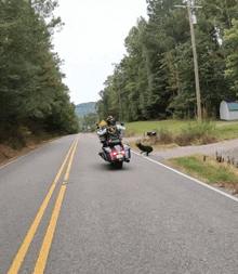 a person riding a motorcycle down a road with trees on the side