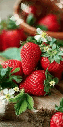 a bunch of strawberries sitting on top of a wooden stump .