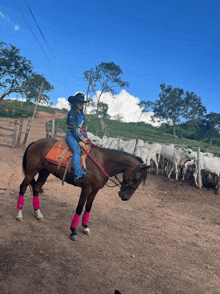 a woman is riding a brown horse in a field