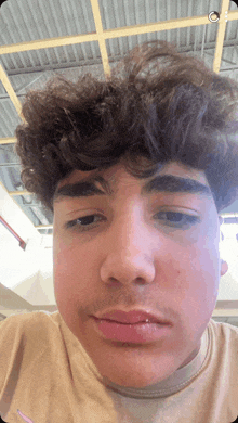 a young man with curly hair and a piercing in his lip looks at the camera