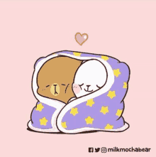 a couple of bears wrapped in a blanket with a heart .