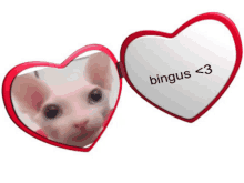 a heart shaped mirror with a picture of a cat and the words bingus < 3 on it