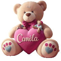 a teddy bear is sitting on a pink heart with the name camila on it