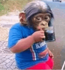 a child wearing a monkey mask is drinking a soda from a glass .