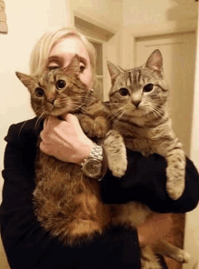 a woman is holding two cats in her arms and one of the cats is wearing a watch .