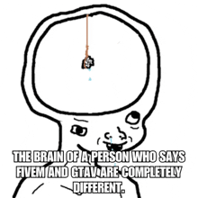 the brain of a person who says fivem and gtav are completely different