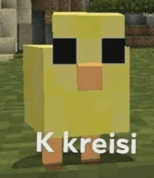 a minecraft duck with sunglasses and the words `` k kreisi '' written on it .