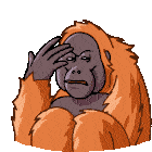 a cartoon drawing of an orangutan covering his face with his hand