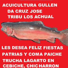 a poster with a fish and the words acuicultura gullen da cruz jose tribu los actual on it