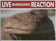 a sign that says live majunagasaurus reaction