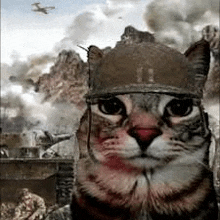 a cat wearing a helmet is standing in front of a battle scene .