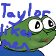 a pixel art of a frog with the words taylor likes me written on it