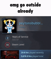 a screenshot of a person 's steam profile with the words " omg go outside already "