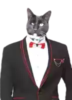 a black cat wearing a tuxedo with a red bow tie