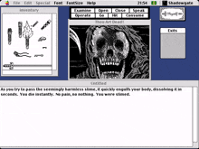 a screenshot of a game called shadowgate with a skull on it