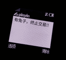 a phone screen displays a message from pinyin in chinese