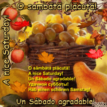 a picture of a basket of fruit with the words nice saturday