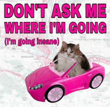 a cat is sitting in a pink car with the words " don t ask me where i 'm going "