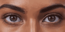 a close up of a woman 's eyes with a slight smirk on her face .