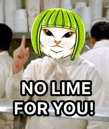 a cartoon of a cat with a green head and the words no lime for you