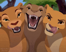 three cartoon lion cubs with their mouths wide open and rummy rum2 written in the bottom right corner