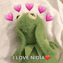 a kermit frog with pink hearts and the words i love nidia above it