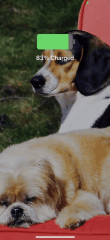 two dogs laying next to each other with a phone screen that says 83 % charged