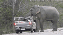 a large elephant standing next to a truck with the words khao ang rue nai wildlife sanctuary at the top