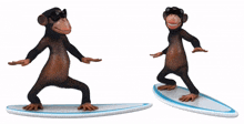 two chimpanzees wearing sunglasses are riding surfboards on a white background