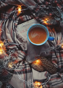 a cup of coffee is sitting on top of a book on a blanket surrounded by christmas lights .