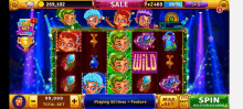 a screenshot of a slot game that says wild on the bottom