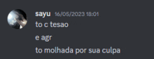 a screenshot of a conversation between sayu and to c tesão