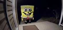 a spongebob costume is being displayed on a doorstep at night .