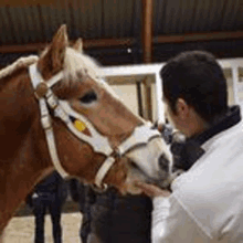 a man in a white jacket is petting a brown horse .