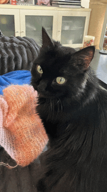 a black cat with green eyes is laying on a couch next to a sweater