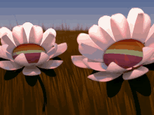 a couple of flowers with a rainbow colored center are in a field