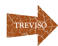 a brown arrow with the word treviso written in white