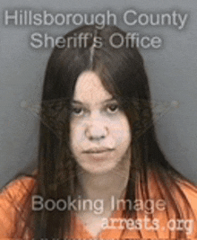 a booking image of a woman from the hillsborough county sheriffs office