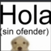 a dog is standing in front of a sign that says hola sin ofender .