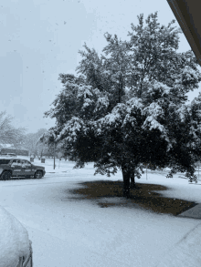 a snowy scene with a tree and a car in the background