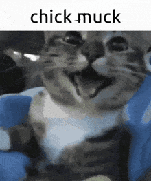 Xzlool Chick Muck GIF