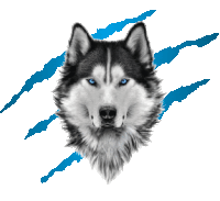 a drawing of a husky with blue eyes and a white background