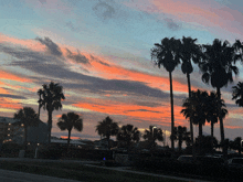 palm trees silhouetted against a colorful sunset sky