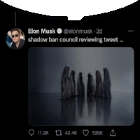 a tweet from elon musk about shadow ban council