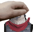 a hand is holding a piece of rice on top of a person wearing a red scarf .