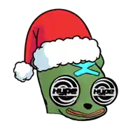 a cartoon of a frog wearing a santa hat and glasses that say hype on them