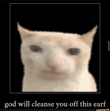 a picture of a cat with the words god will cleanse you off this earf