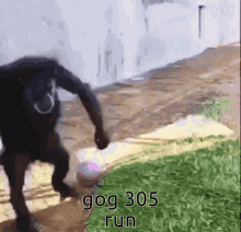 a man is running with a ball and the words gog 305 run are on the bottom